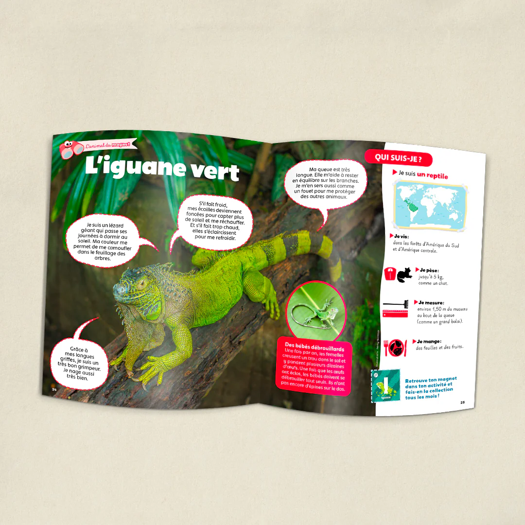 Image du produit 4