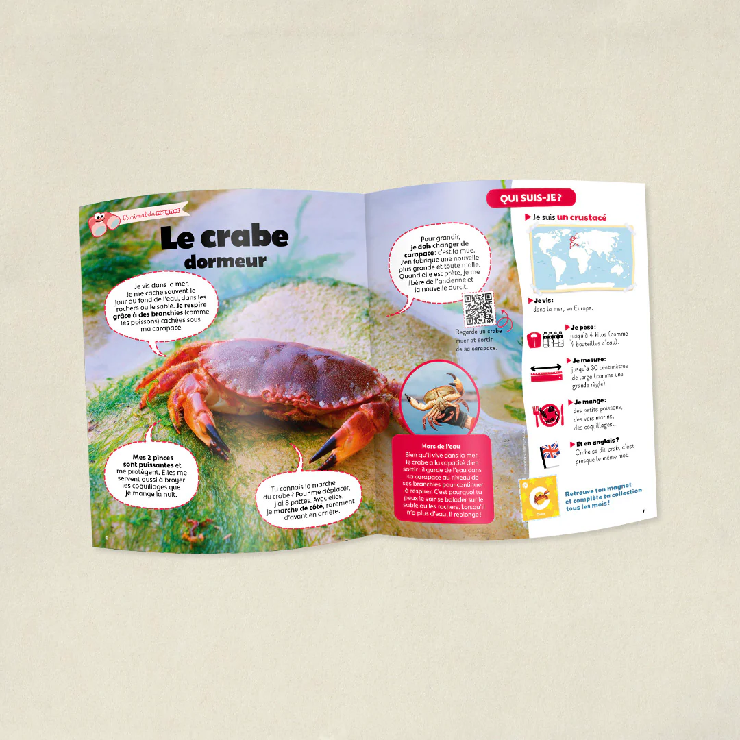 Image du produit 4